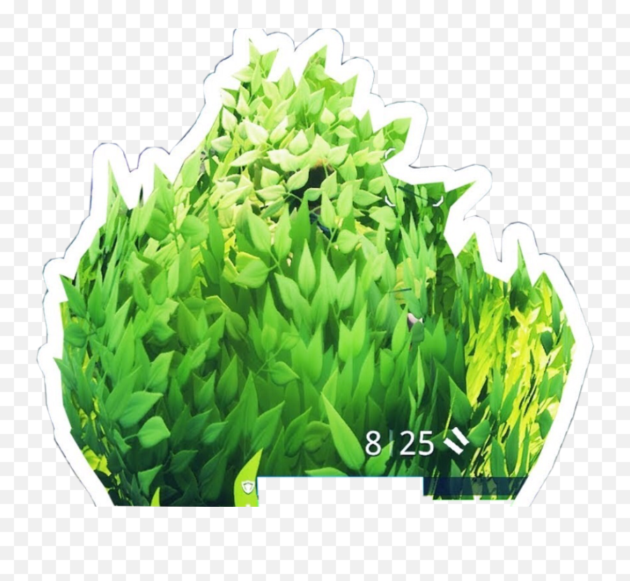 Download Vegetable Leaf Royale Game - Fortnite Bush Camper Png Emoji,Fortnite Bush Png