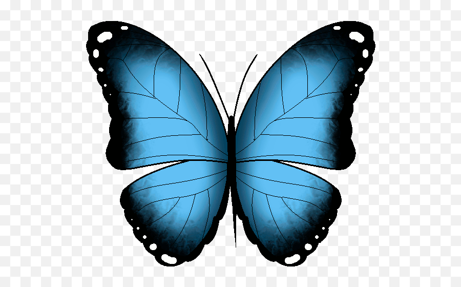 Find Make For Butterfly Animated Gif Transparent 110yll Emoji,Butterfly Gif Transparent
