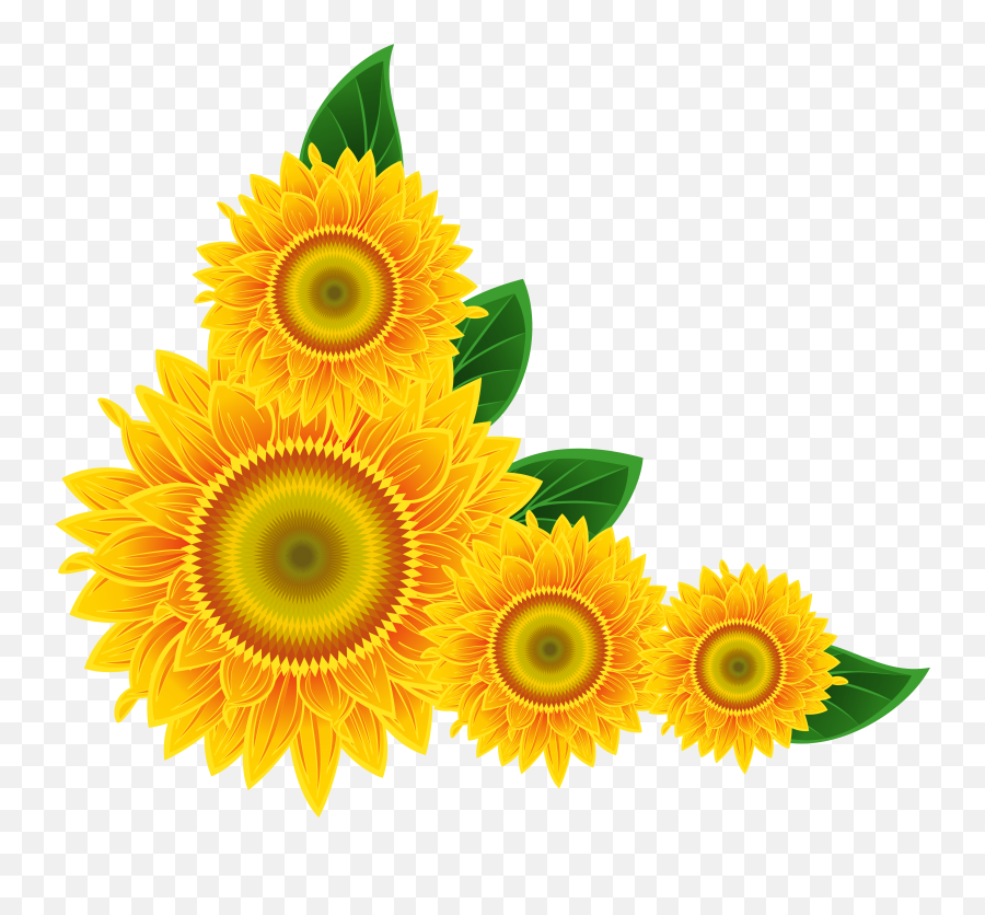 Sunflower Clip Art Images Xbox - Sunflower Corner Png Corner Border Design Sunflower Emoji,Xbox Png