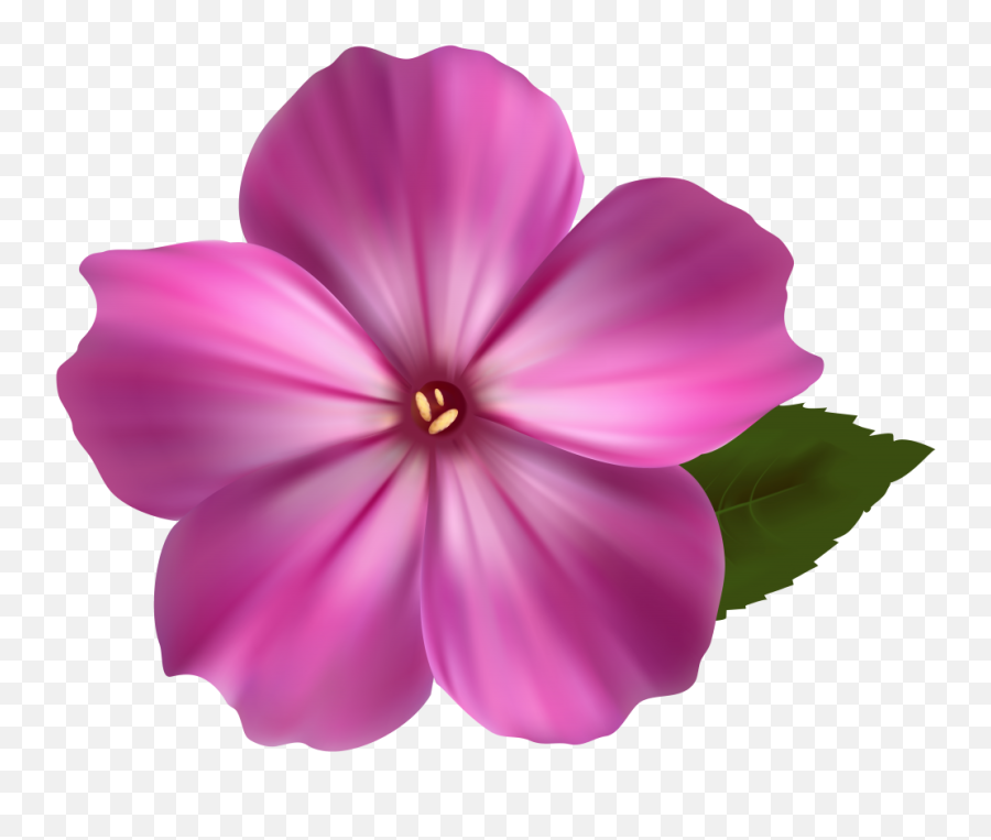 Flower Png Image Pink Clipart 90705 - Png Images Pngio Realistic Flower Clipart Transparent Background Emoji,Pink Clipart