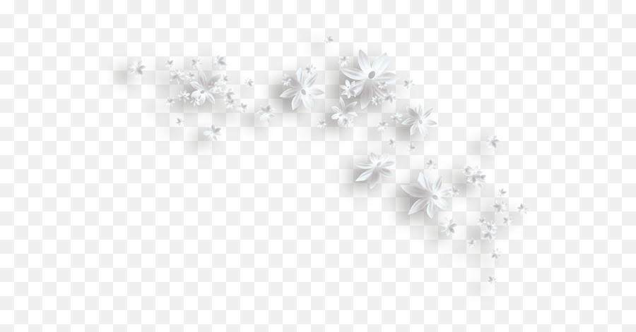 Picture - Clipart White Flowers Png Emoji,White Flower Png