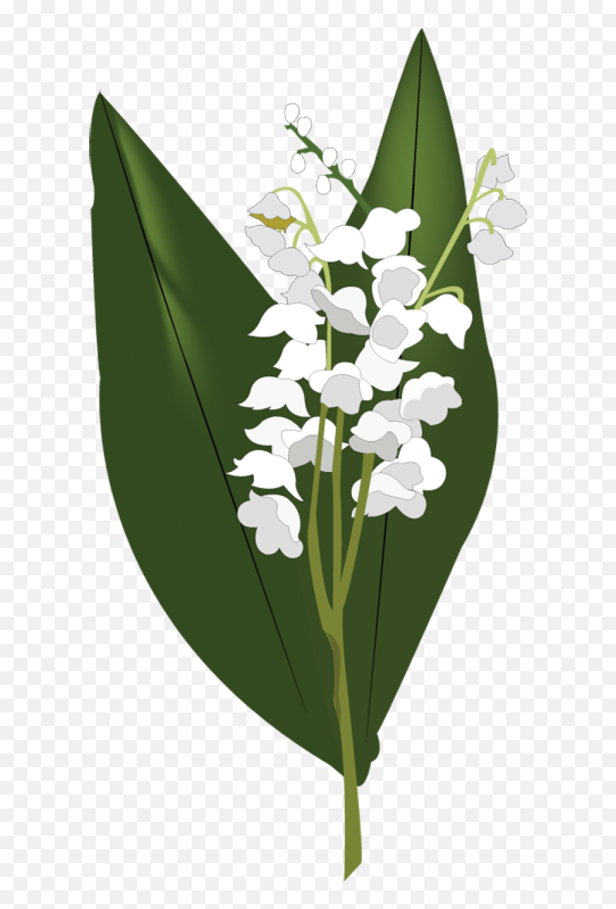 Lily Of The Valley Png Hd - Lily Of The Valley Watercolor Png Emoji,Valley Clipart
