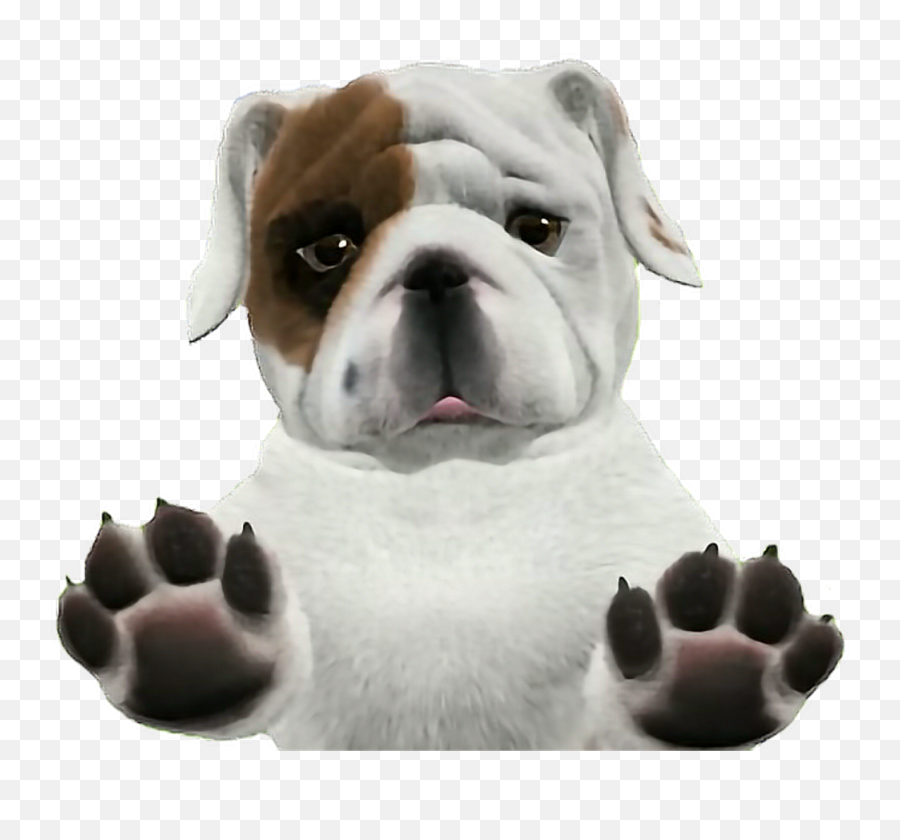 Transparent Background Dogs Png Png - English Bulldog With Transparent Background Emoji,Bulldog Png