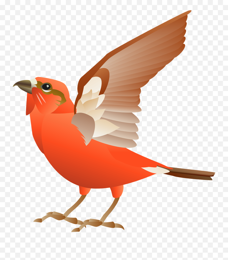 Red Crossbill Bird Clipart Free Download Transparent Png - Bird Clipart Creazilla Emoji,Bird Clipart