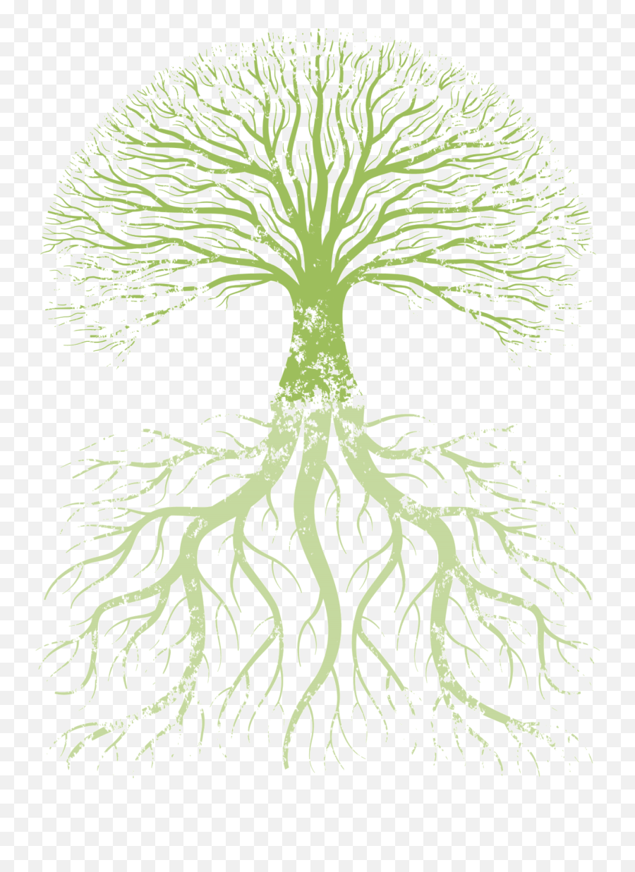 Family Tree Root Tree Of Life - Root Png Download 1424 Emoji,Tree With Roots Clipart