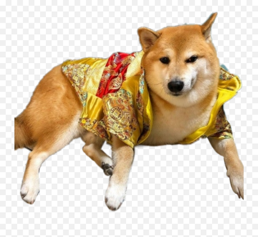 Ironic Doge Memes - Mafia Doge Png Emoji,Doge Transparent