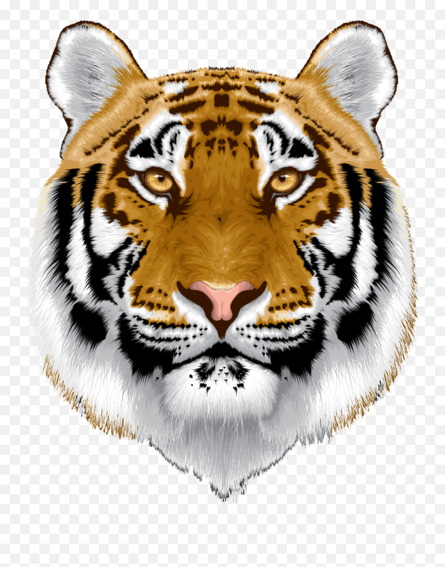 Download Hd White Tiger Head Png - Tiger Head Image In Png Tiger Head Png Emoji,White Tiger Png