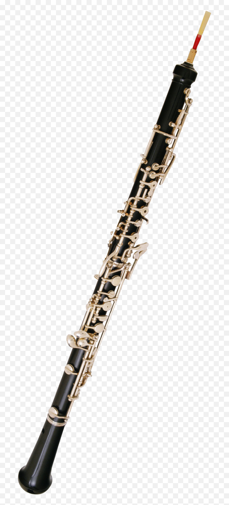 Bass Oboe Related Keywords Suggestions - Transparent Oboe Png Emoji,Clarinet Clipart