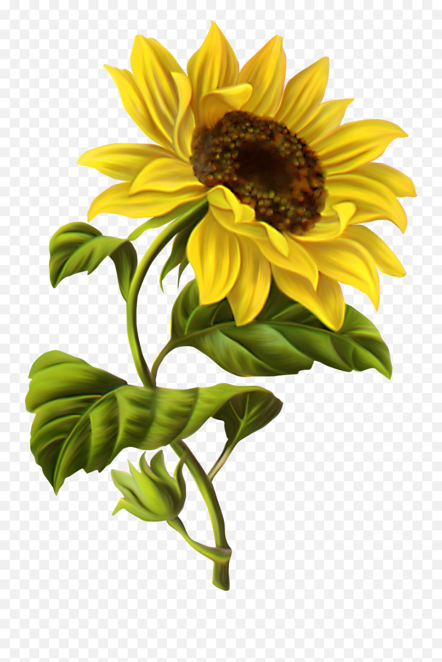 Sunflower Drawing Sunflower Painting Emoji,Sunflowers Png