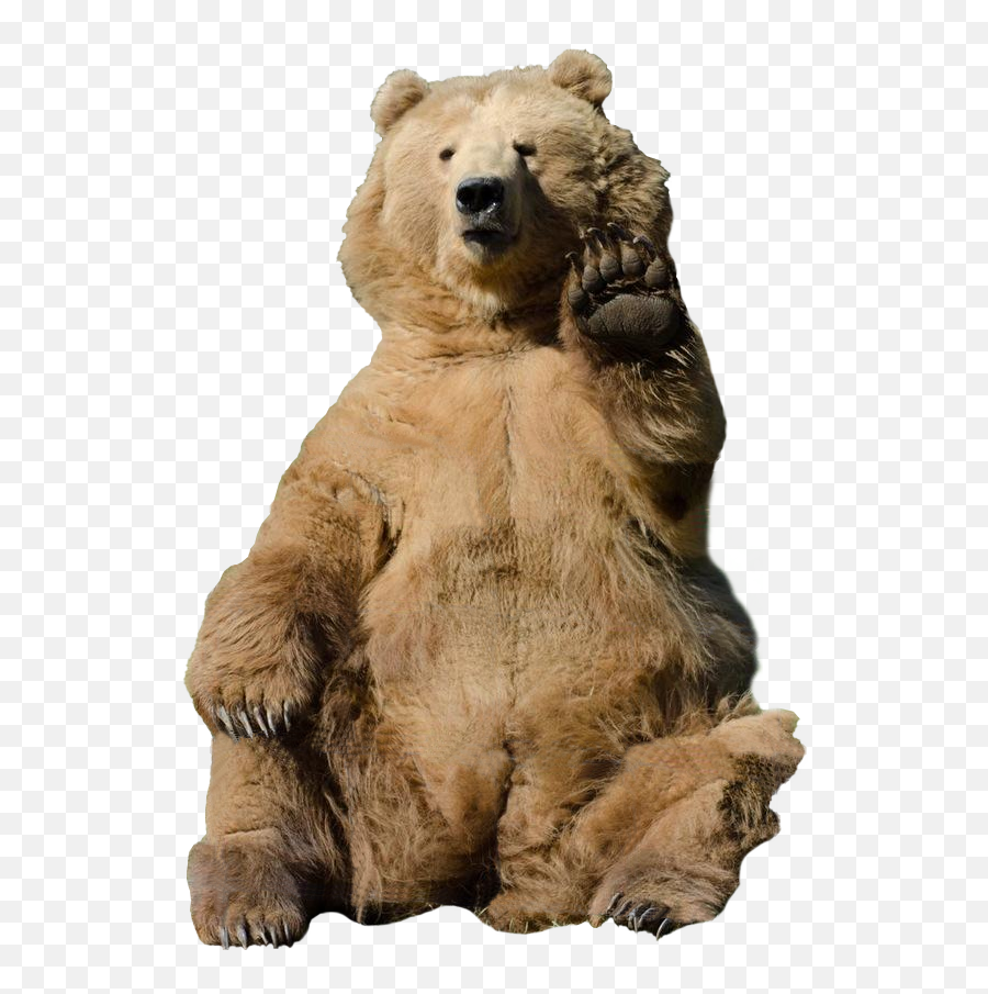 Download Soviet Bear Png - Bear Waving Transparent Bear Waving No Background Emoji,Bear Png