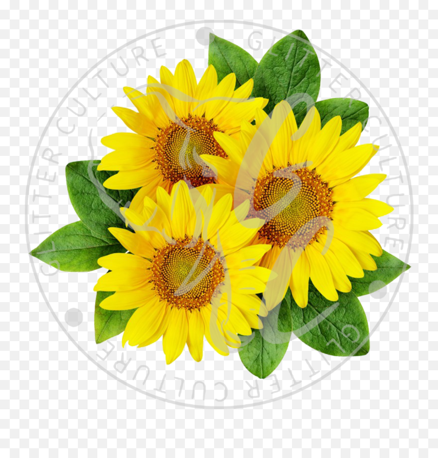 Sunflower - Sunflower Png Emoji,Transparent Sunflowers