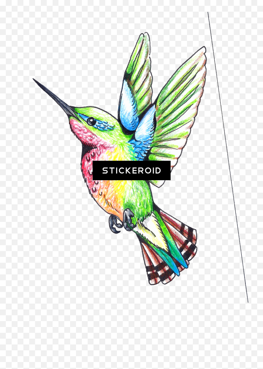 Hummingbird Tattoos - Hummingbird Clipart Full Size Bee Hummingbird Emoji,Hummingbird Clipart
