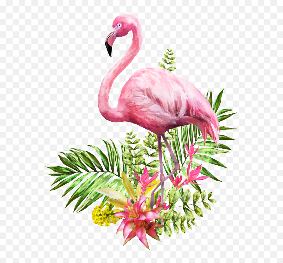 Flamingo Transparent Vector - Transparent Background Emoji,Vector Transparent