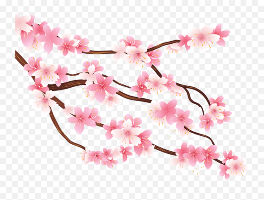 Download Free Png Pink Spring Branch Png Images Transparent Emoji,Cherry Blossom Gif Transparent