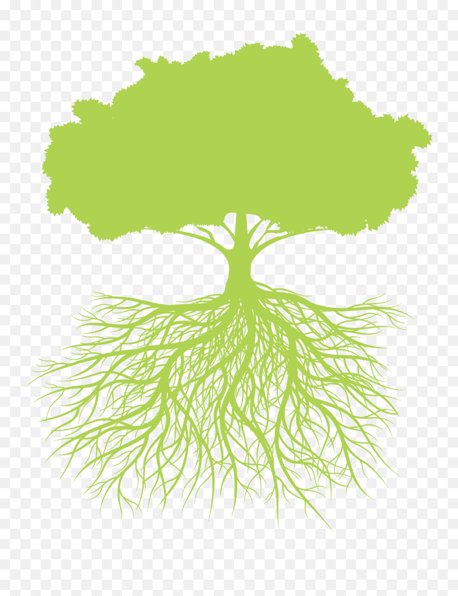Hfg - Tree U2013 Healthy Foundations Group Emoji,Tree With Roots Clipart
