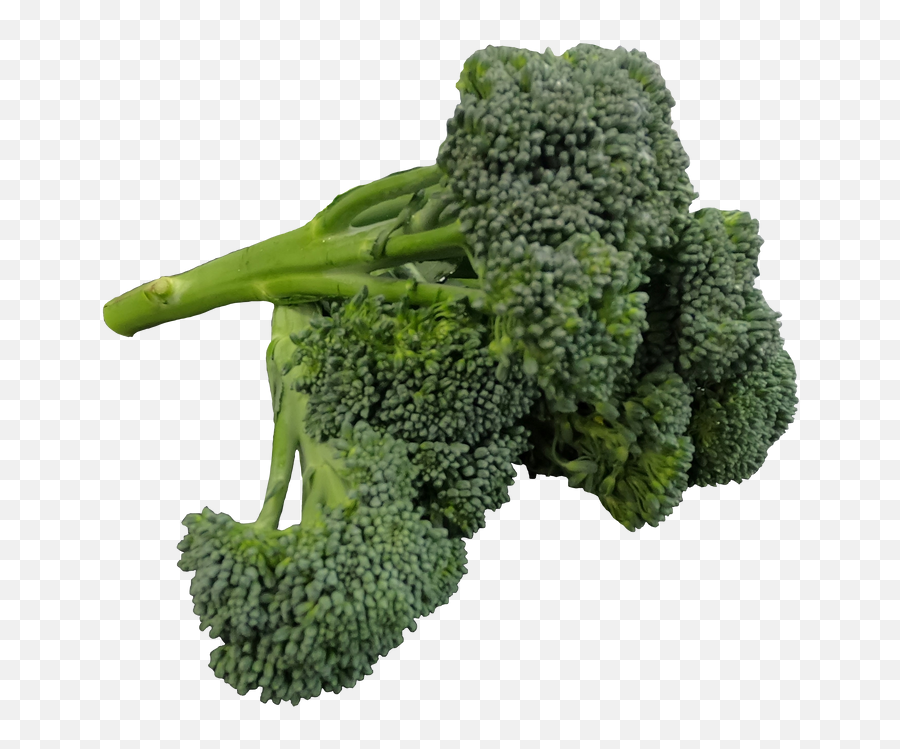 All Products U2013 Tagged Vegetables U2013 Melba U0026 Me Emoji,Broccoli Transparent Background