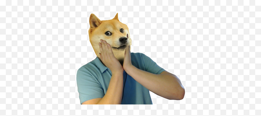 Doge Face Png Transparent Images Emoji,Doge Transparent