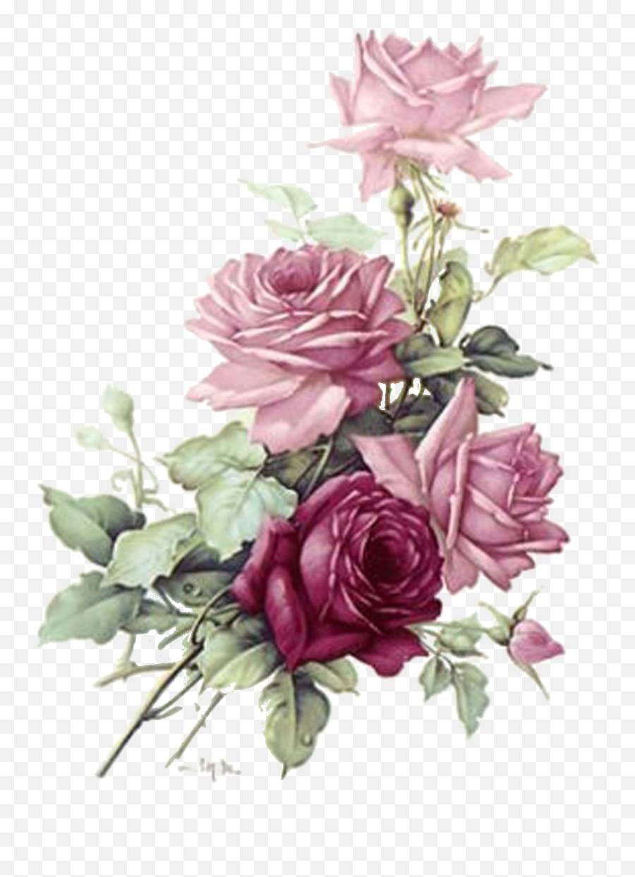 Download Roses - Transparent Burgundy Flowers Png Png Image Transparent Roses Burgundy Png Emoji,Roses Transparent