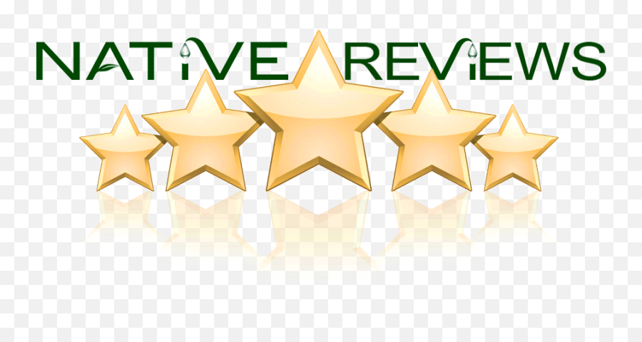 Download Reviews - 5 Star Png Image With No Background Royalty Free Five Stars Clip Art Emoji,5 Star Png