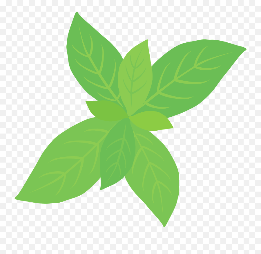 Peppermint Herb Clipart - Peppermint Herb Clipart Emoji,Peppermint Clipart