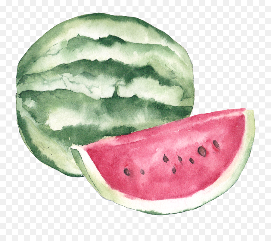Download Hd Watercolor Painting Lychee Illustration - Watercolor Watermelon Painting Emoji,Water Melon Clipart