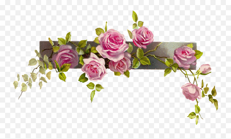 Flower Border Vintage Rose Border - Transparent Vintage Floral Flower Border Emoji,Flower Border Clipart