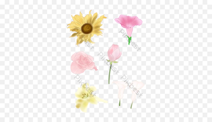 Flower Png Images Free Psd Templatespng And Vector Emoji,Flowers Png Images
