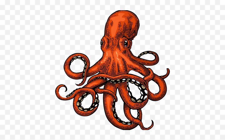 Drawn Squid Adorable - Octopus Vector Clipart Full Size Octopus Illustrations Emoji,Octopus Clipart