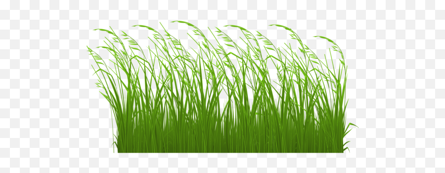 Download Swamp Vector Grass Clipart - Transparent Tall Grass Clipart Emoji,Tall Clipart