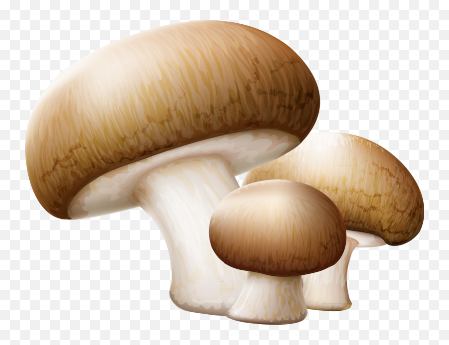 Mushrooms Clipart Button Mushroom - Transparent Background Mushroom Clip Art Emoji,Mushroom Clipart