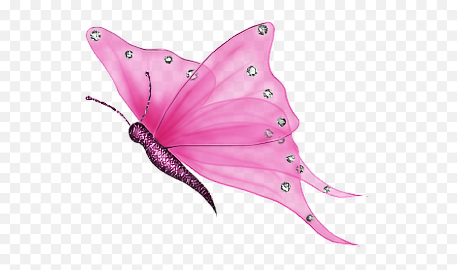 Download Hd Pink Transparent Butterfly Gif Transparent Png Emoji,Butterfly Gif Transparent