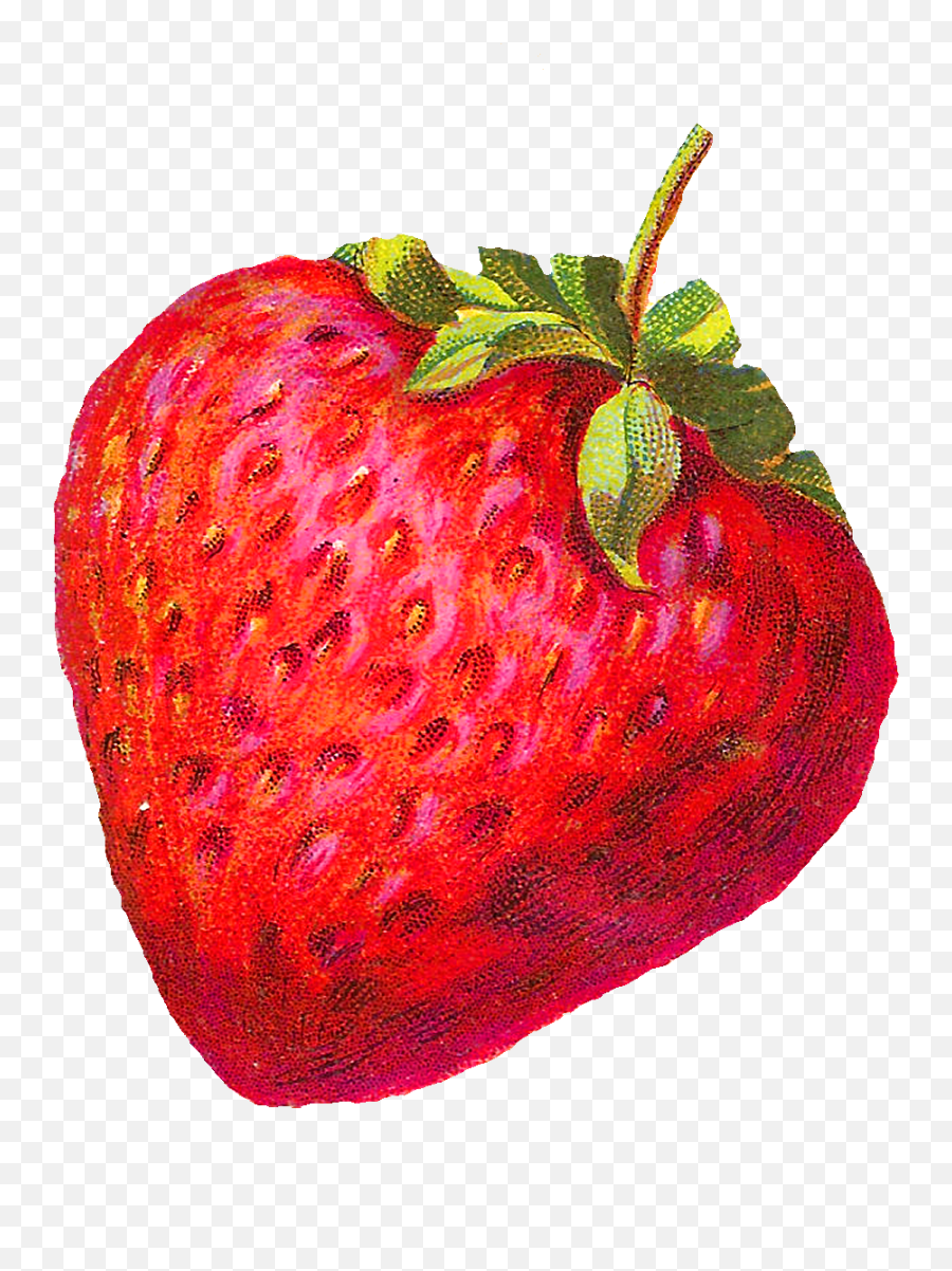 The Fruit Images Would Be Awesome Design Elements For - Vintage Strawberry Clip Art Emoji,Vintage Clipart