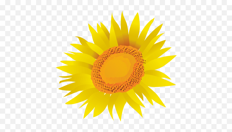 Sunflower Cartoon - Transparent Png U0026 Svg Vector File Fresh Emoji,Sunflower Transparent