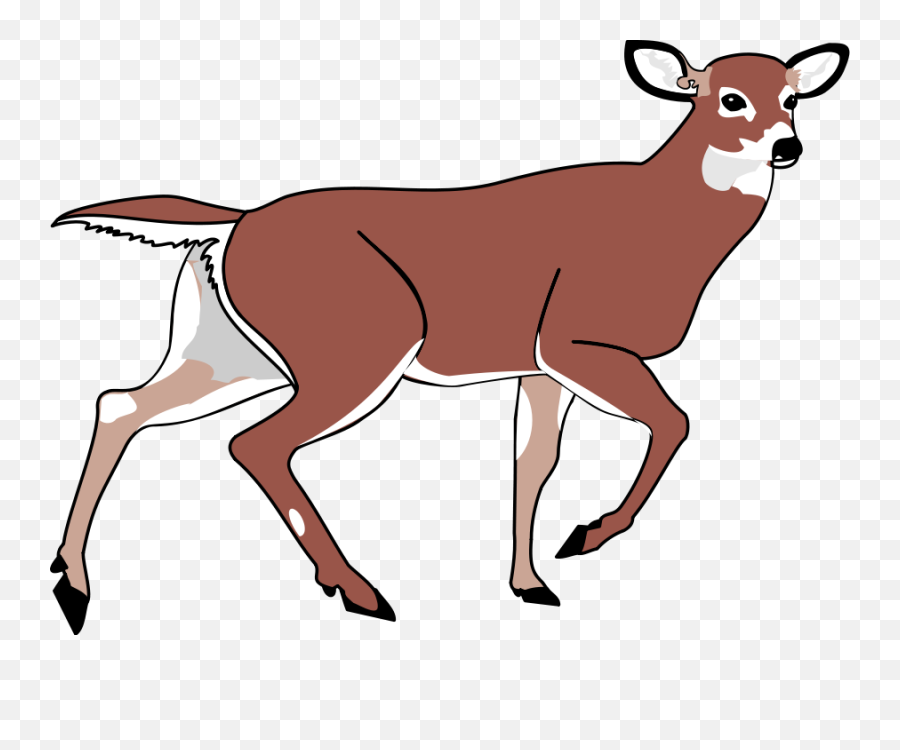 Cute Baby Deer Clipart Free Images 7 - Doe Deer Clipart Emoji,Deer Clipart