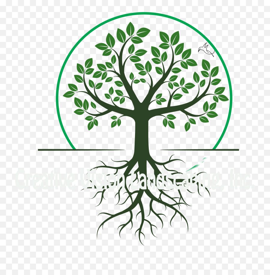 Roots Clipart Landscaping - Tree Creative Png Emoji,Roots Clipart