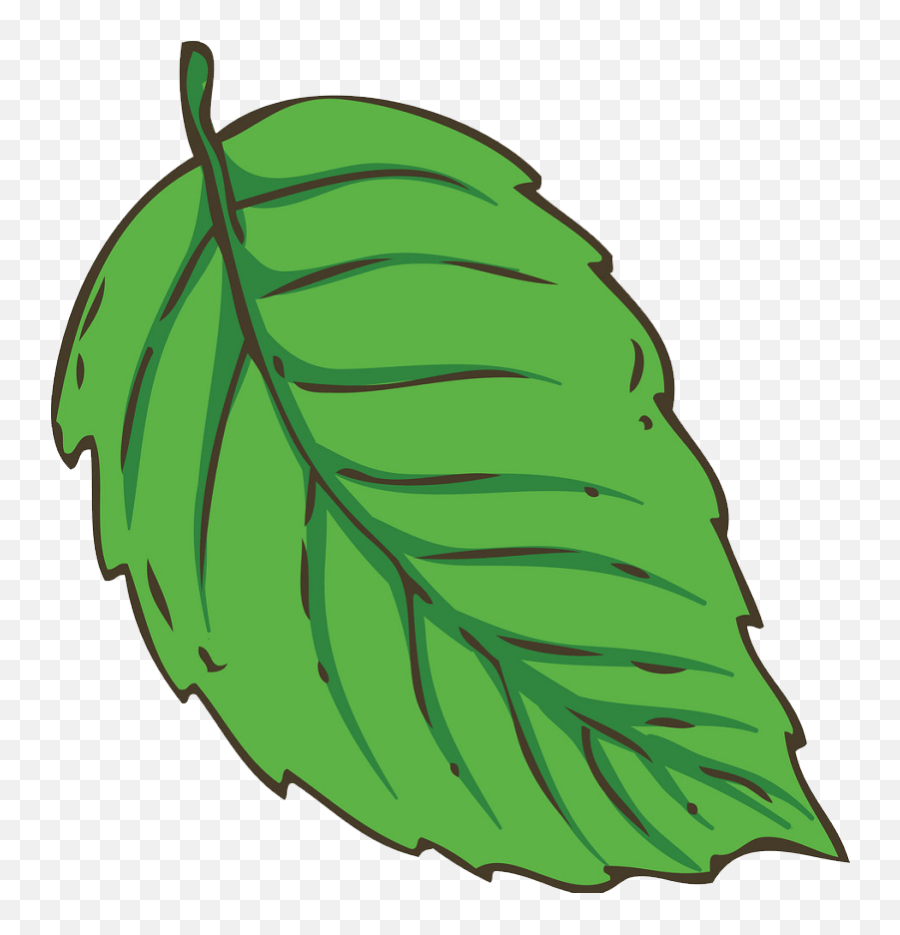 Leaf Clipart - Clipartworld Leaf Vector Stock Emoji,Tropical Leaf Clipart