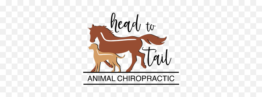 Head To Tail Animal Chiropractic Alissa Grover Dc Cac - Animal Figure Emoji,Animals Png