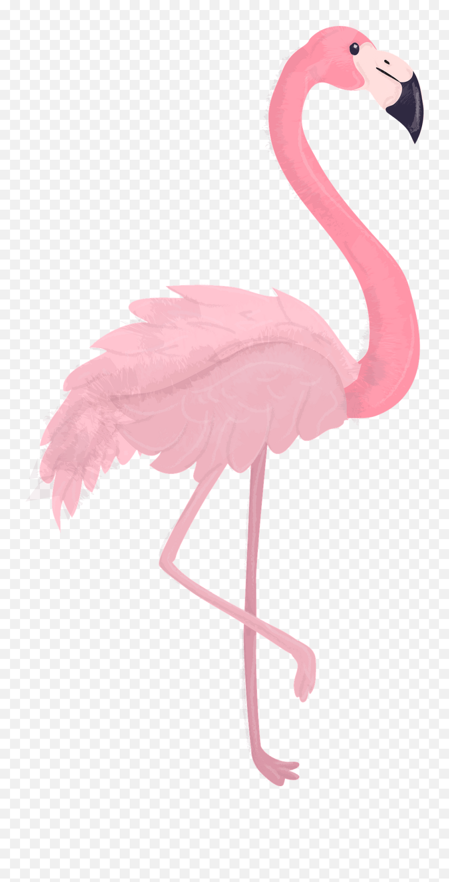Flamingo Clipart Free Download Transparent Png Creazilla Emoji,Pink Flamingo Clipart