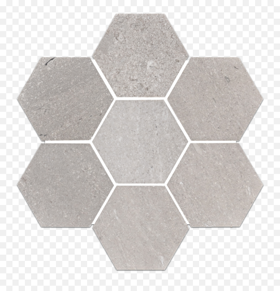 Limited Stock Sand Dollar 5 Hexagon Mosaic Honedu2013 Elon Emoji,Sand Dollar Png