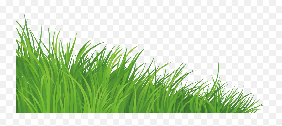 Lawn Clip Art - Silhouette Grass Png Download 72983112 Grass Frame Png Emoji,Grass Transparent