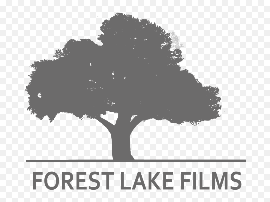 Jennifer Lawrence Stella Artois Interview U2014 Forest Lake Films - Language Emoji,Stella Artois Logo
