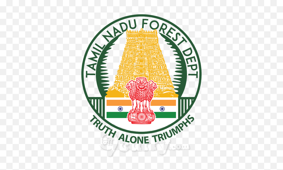 Forest Department Logo Png We Have 349 Free Forest Emoji,The Forest Logo