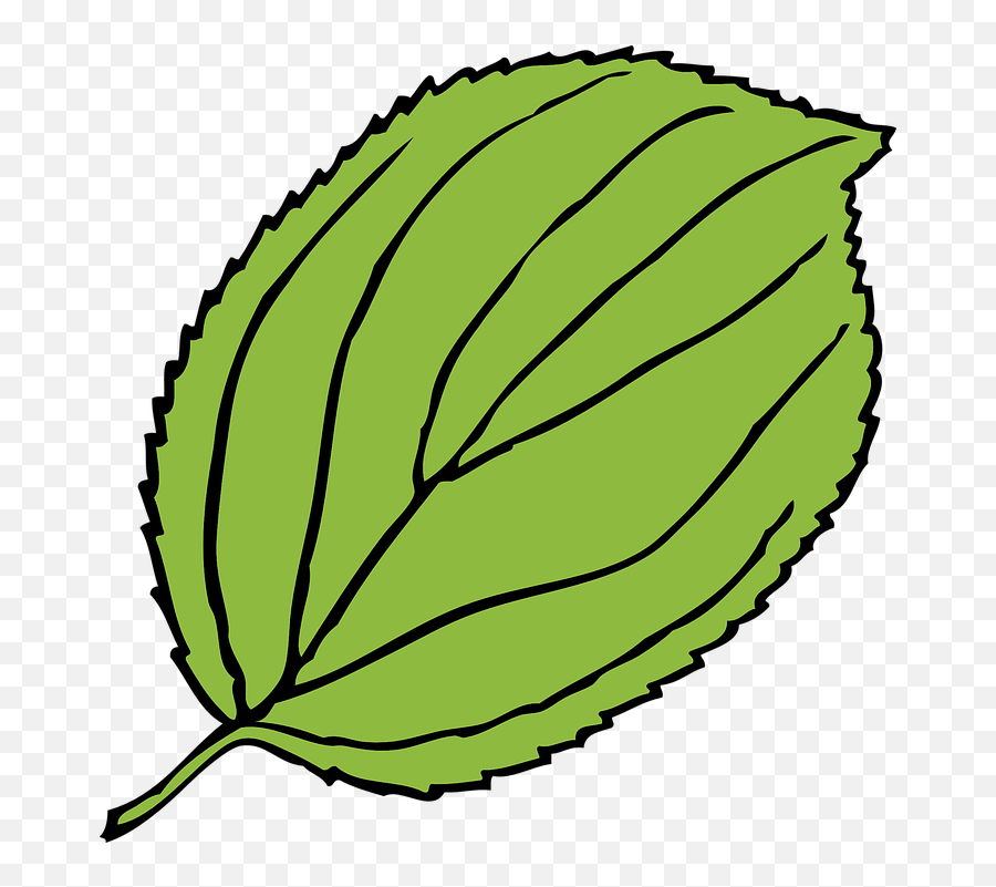 Library Of Apple Tree Leaf Graphic Transparent Download Png - Leaf Clip Art Emoji,Leaf Clipart
