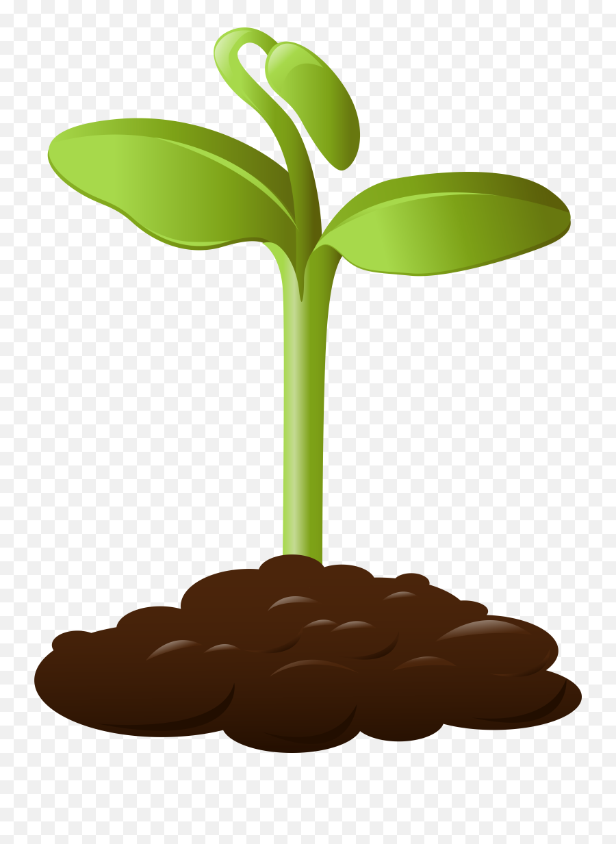 Planting Clipart Soil Clipart Planting Emoji,Soil Clipart