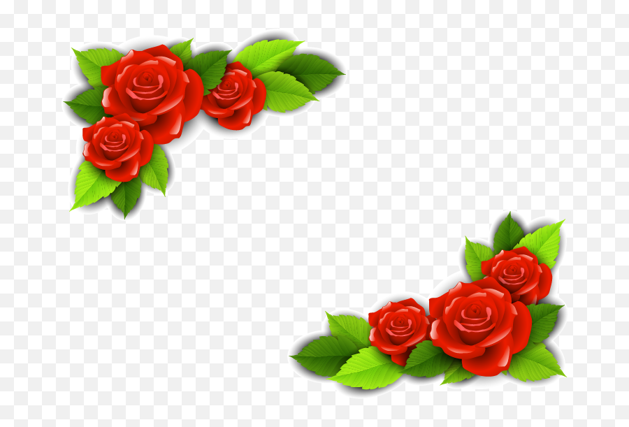 Beach Rose Flower Adobe Illustrator - Vector Red Rose Border Border Red Rose Vector Emoji,Rose Border Png