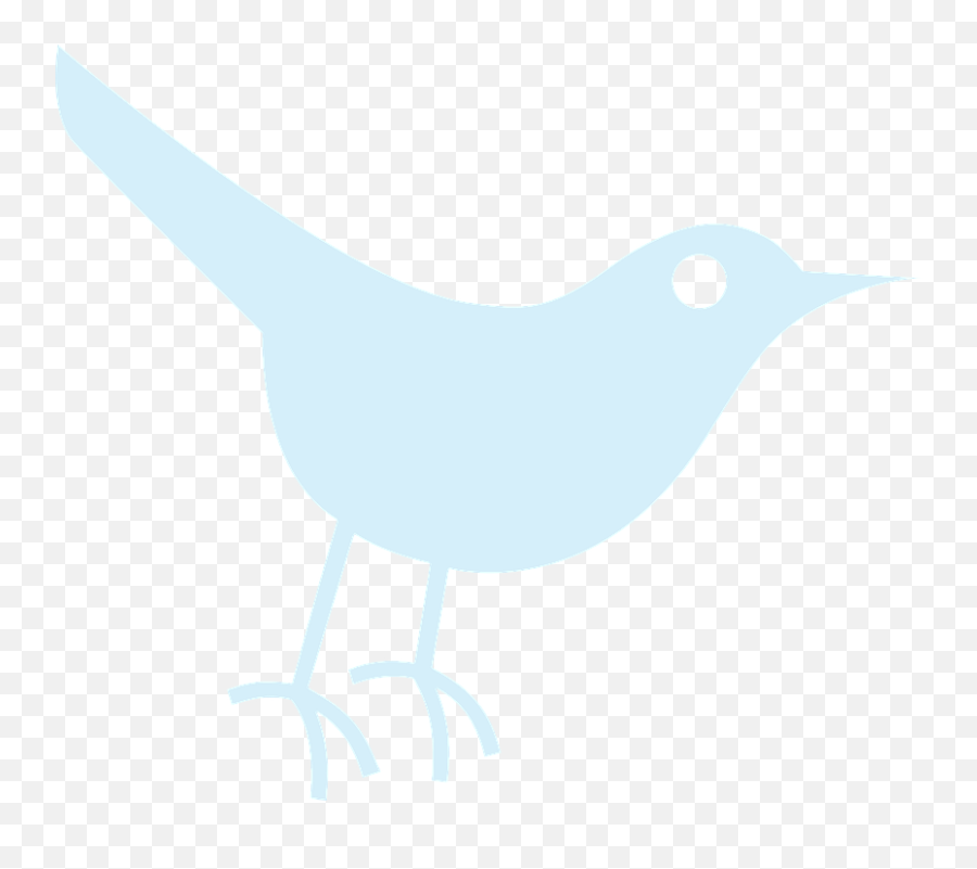 White Twitter Icon Png White Twitter Icon Png Transparent - Birds White Clip Art Emoji,White Twitter Logo Png