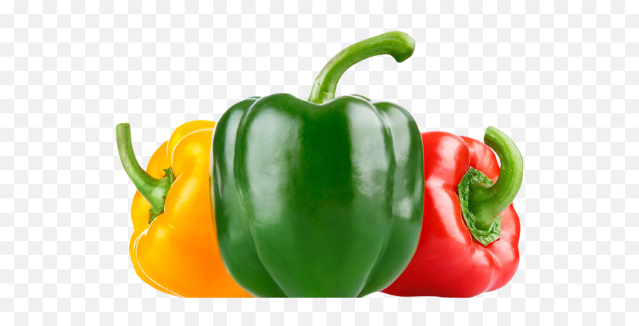 Download Capsicums - Green And Red Bell Pepper Png Png Image Emoji,Red Pepper Png