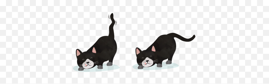 Reading A Catu0027s Body Language The Tail And Whiskers Emoji,Cat Tail Png