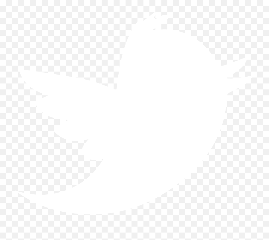 White Twitter Logo Png White Twitter - International Day 2021 Logo White Emoji,Twitter Logo