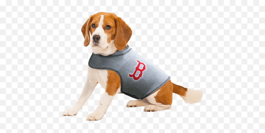 Boston Red Sox Dog Shirt Transparent Png - Stickpng Dog Thundershirt Emoji,Red Sox Logo